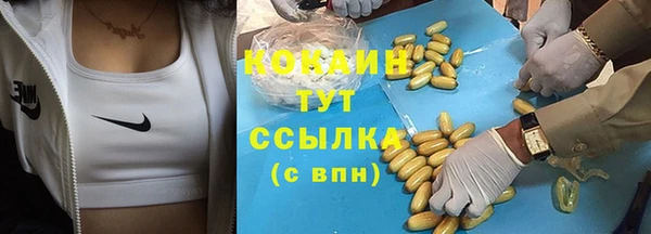 СК Алзамай
