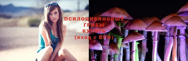 круглые Алексеевка