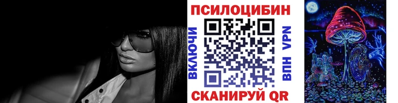 купить наркотик  Почеп  Псилоцибиновые грибы мухоморы 